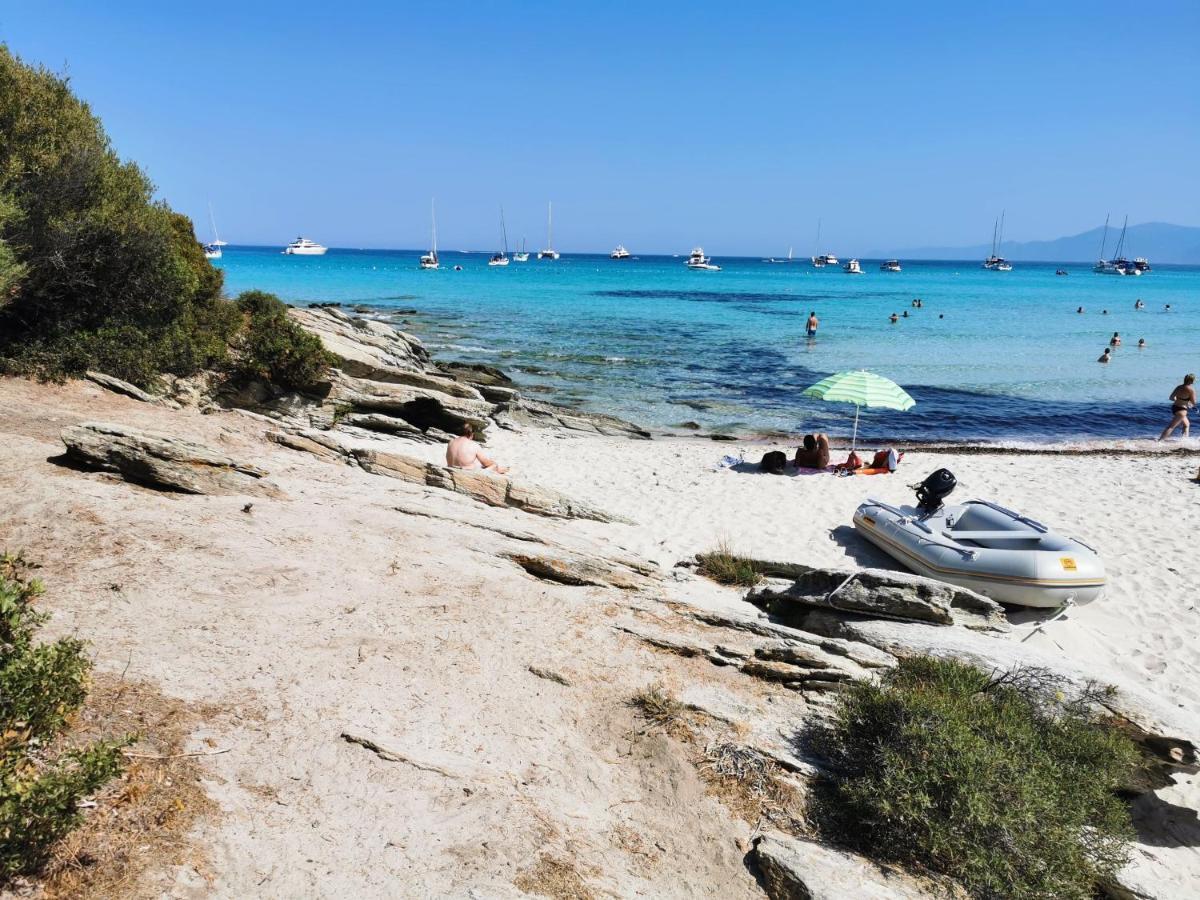 Farfalla Calvi  Exteriör bild